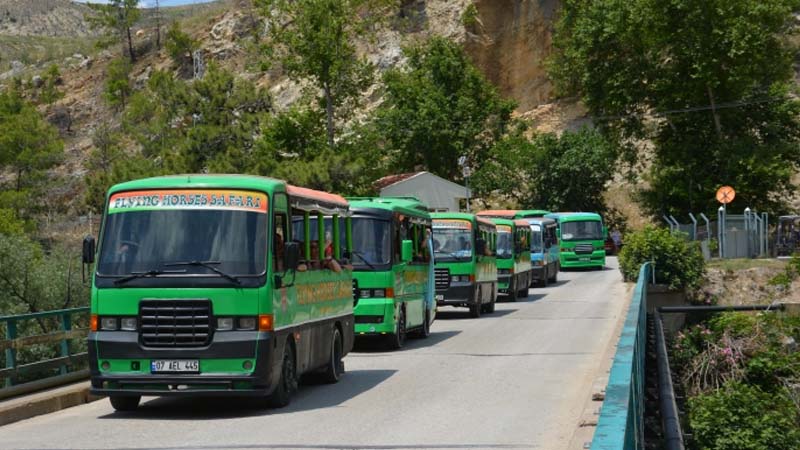 flying horses safari