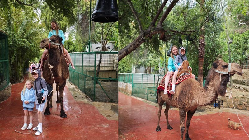 camel safari kemer