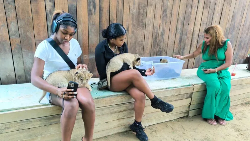 holding-lions-in-kemer ticket