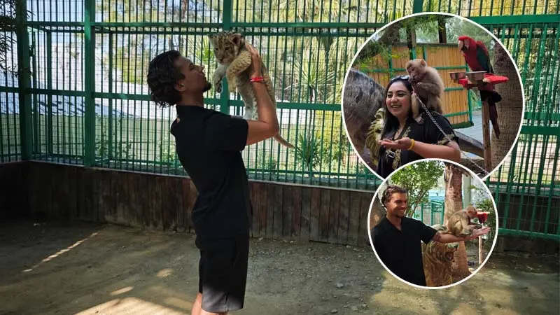 photo-with-lions-in-kemer