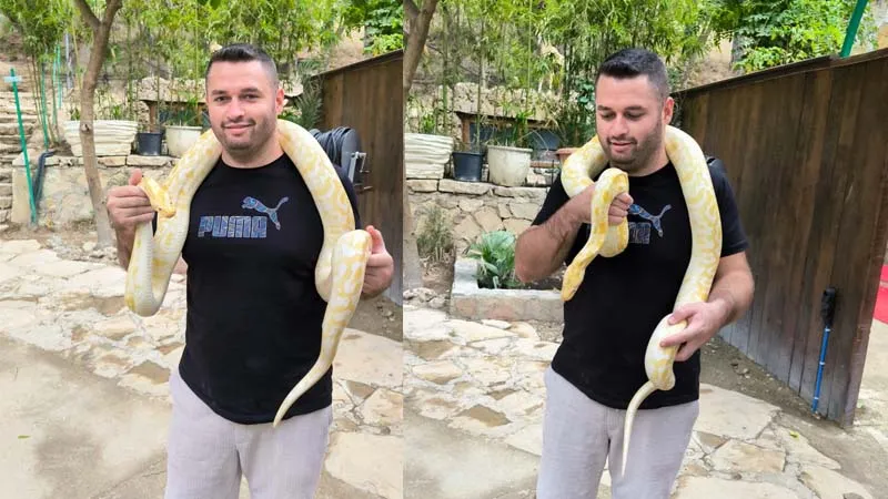 photo-with-snake-in-kemer
