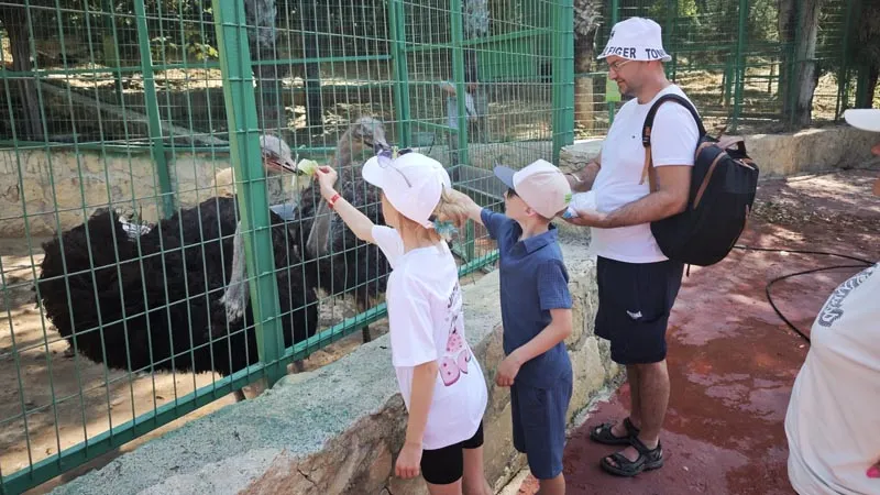 animal-feeding activity alanya