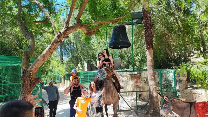 camel safari experience alanya