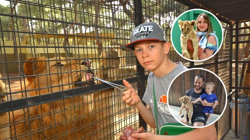 feeding-and-photo-with-lions in antalya