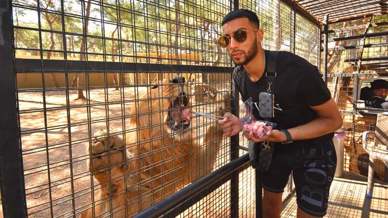 kemer lion tour
