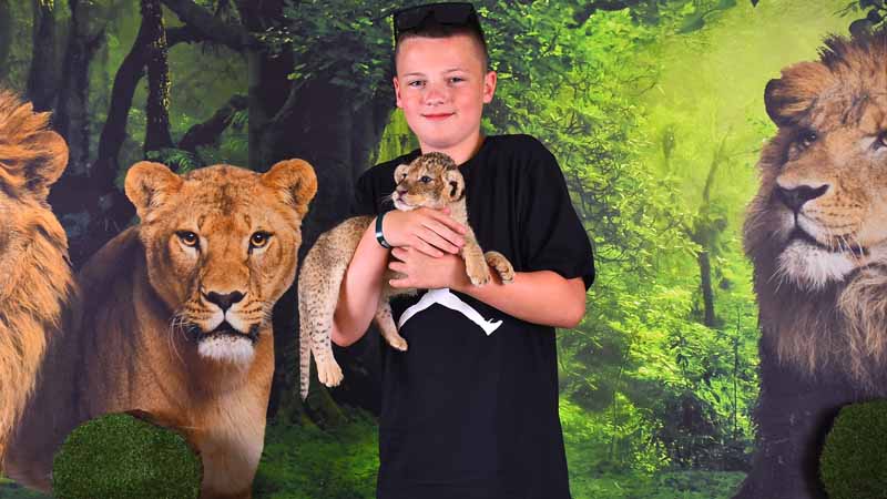 lion cubs encounter