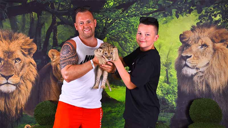 lion cubs experience