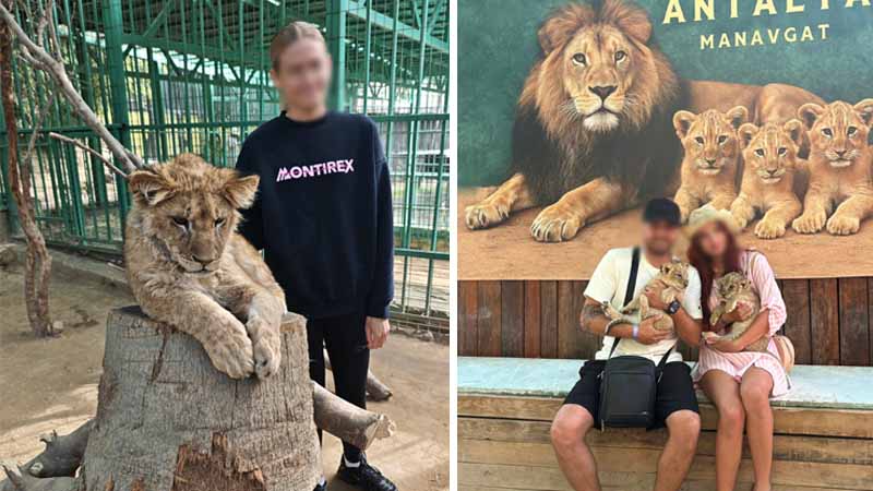 lions in belek