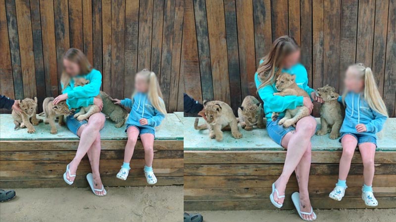 manavgat photo-with-lion-cub