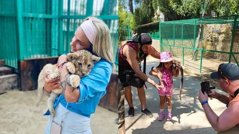 photo-with-lion cubs in side