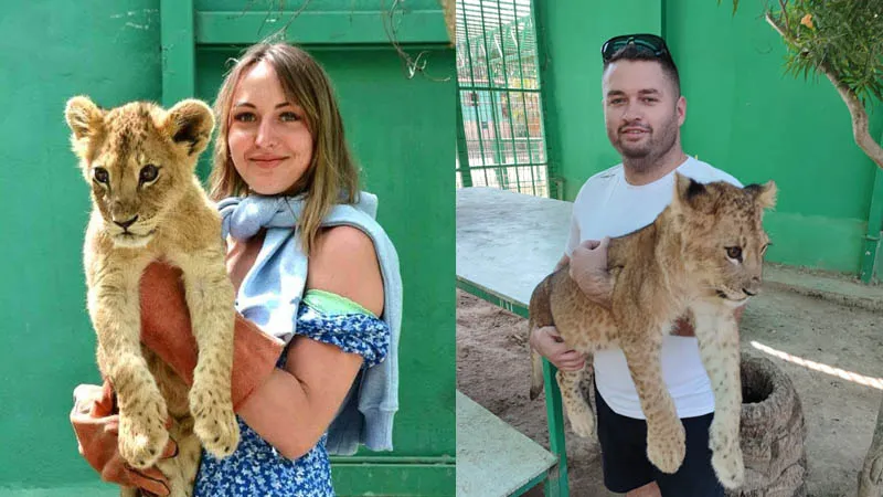 photo with lions in side