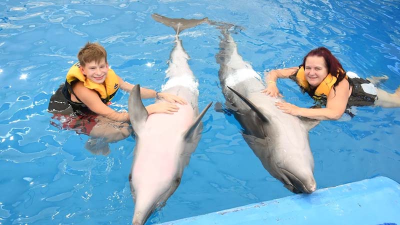dolphin park belek