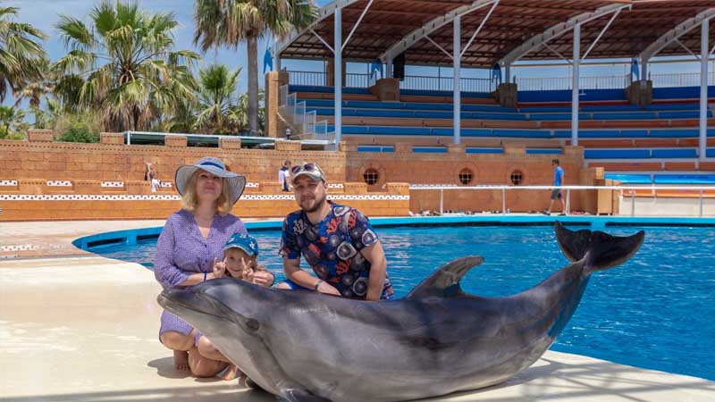 dolphin show avsallar