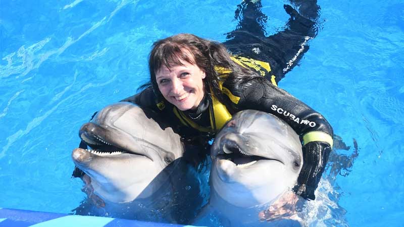 dolphin show price belek