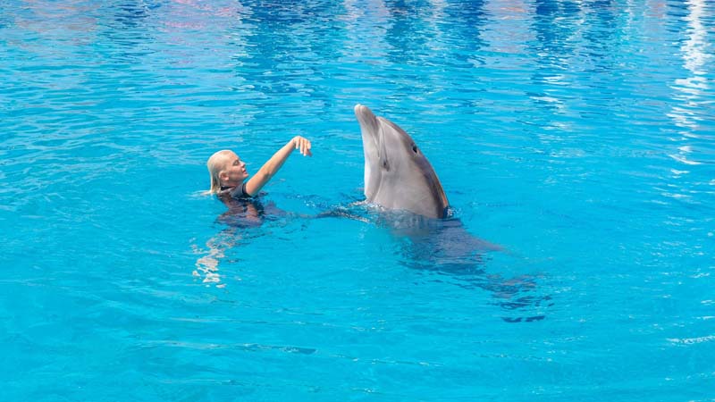dolphinarium advice near side