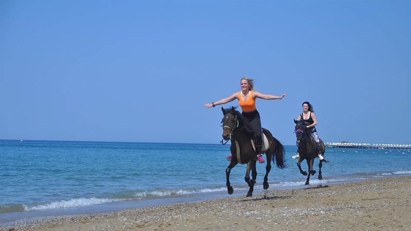 horse back riding side beach