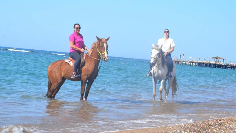 horse back riding side