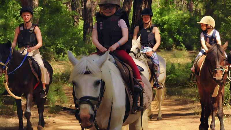 horse ride side