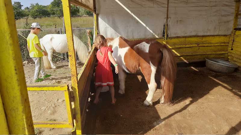 horse riding with children