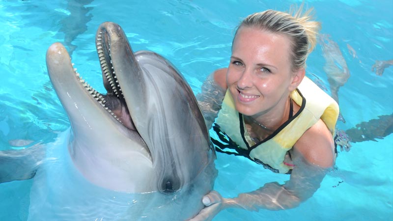 swimming with dolphins near eftalia hotel