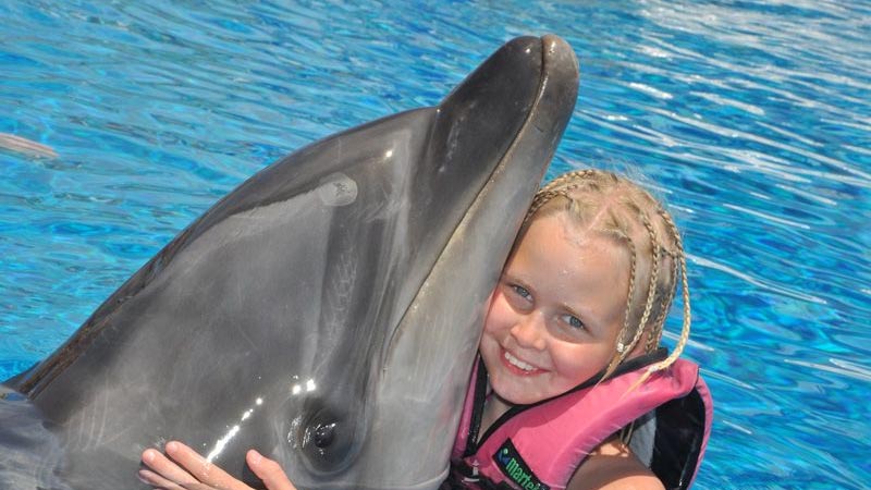swimming with dolphins prices konakli