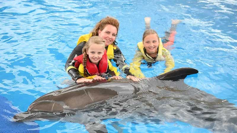 swimming with dolphins with family antalya