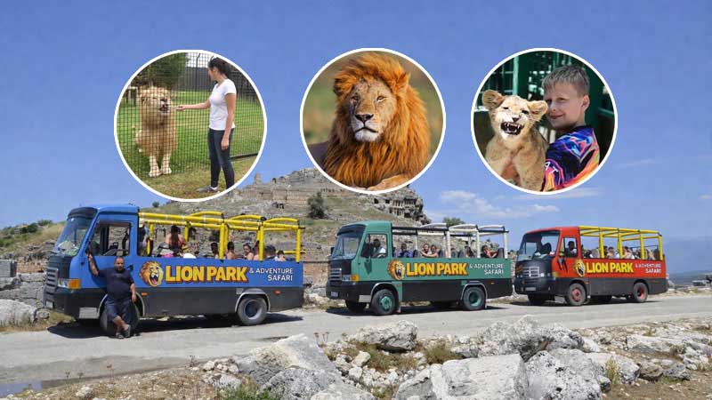 lion park and adventure safari