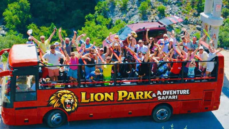 lion park tour side